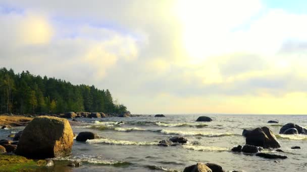 Die Majestätische Landschaft Der Nordsee Die Ihre Kalten Wellen Den — Stockvideo