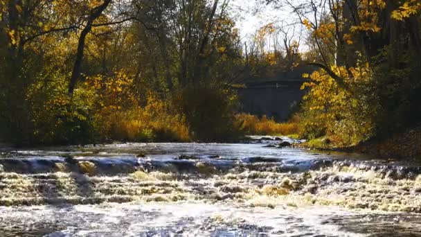 自然が数十年にわたって作り出した小さな嵐の川のキャニオン 岩や秋の木々の背景に速い水 ロシア北西部の美しい秋の風景 — ストック動画
