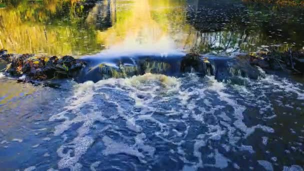 自然が数十年にわたって作り出した小さな嵐の川のキャニオン 岩や秋の木々の背景に速い水 ロシア北西部の美しい秋の風景 — ストック動画