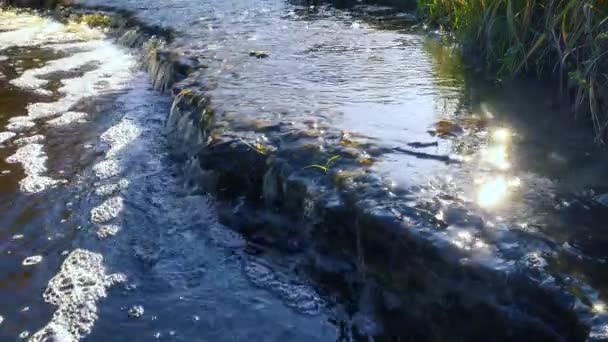Каньйон Невеликої Бурхливої Річки Створеної Природою Протягом Десятків Століть Швидка — стокове відео