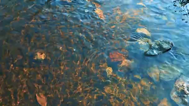 Каньон Небольшой Бурной Реки Созданной Природой Протяжении Десятков Веков Быстрая — стоковое видео