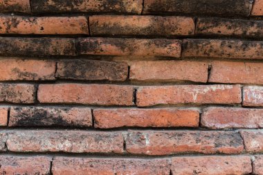 Ayuttaya antik duvar 2