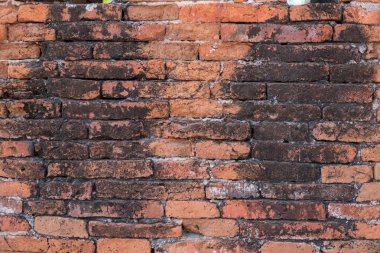 Ayuttaya antik duvar 4