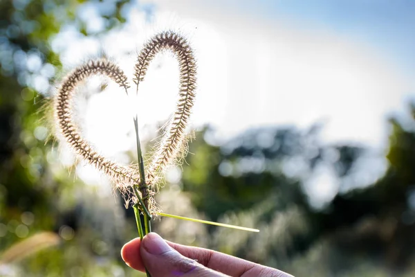 Çim şekilden kalp.