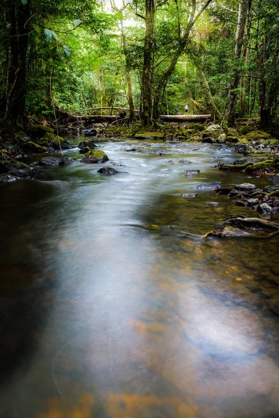 Water flow that lead the way to the jungle.