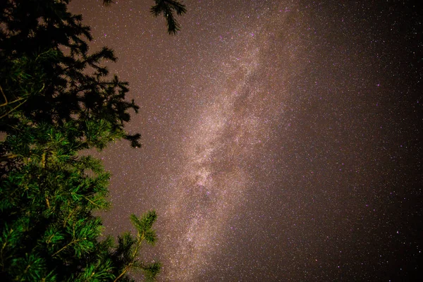Ukrayna, Karpat Dağları seyahat