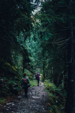 Ukrayna, Karpat Dağları seyahat