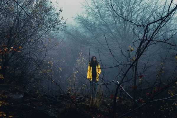 Ukrayna, Karpat Dağları seyahat