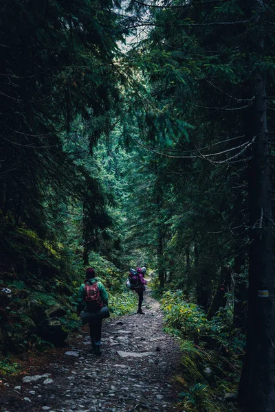 Ukrayna, Karpat Dağları seyahat