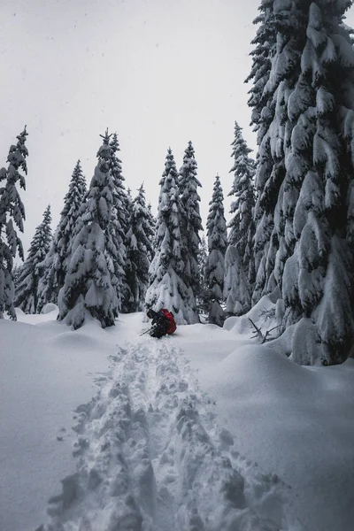 Ukrayna, Karpat Dağları seyahat