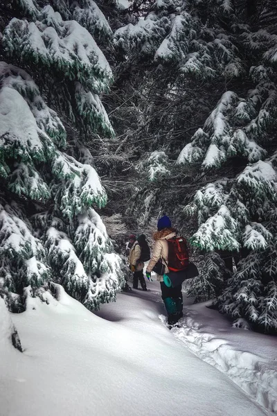 Ukrayna, Karpat Dağları seyahat