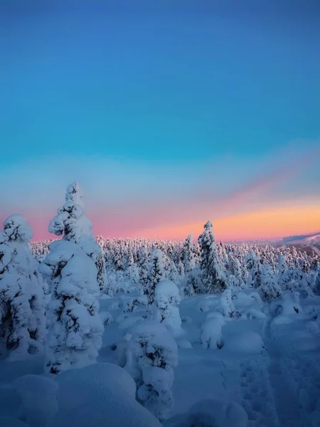 Finlandiya, Levi, Lappi, Laponya