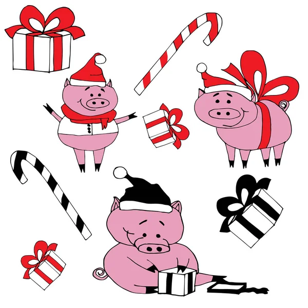 Sevimli domuz kutlama yeni yıl. Gülümseyen domuz .hediyeleri açıyoruz. Noel şapka ile candys domuzlar. Vektör nesnelerini izole. Mutlu yeni yıl domuzlar. Elle çizilmiş