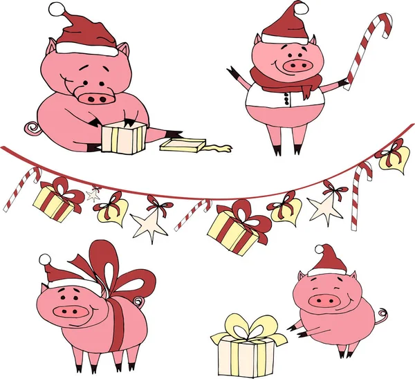 Gülümseyen hediyelerle domuzlar ve sunar. Yeni yıl domuzlar. Chrismass hediyeler. Yeni yıl partisi. Kırmızı şapka mutlu domuzlar. İzole vektör
