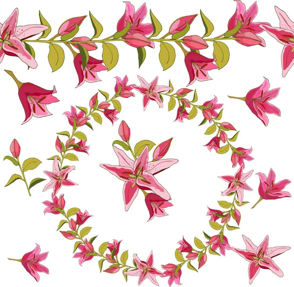 Frolar zambaklar garland. Sonsuz yatay fırça. Daire ellements yaptı. Pembe lilyum beyaz arka plan üzerinde. İzole vektör çiçek deseni.