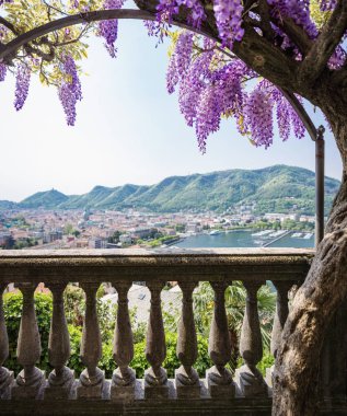 Harika verandası renkli wisteria tarafından bir güzel bahar gününde kaplı