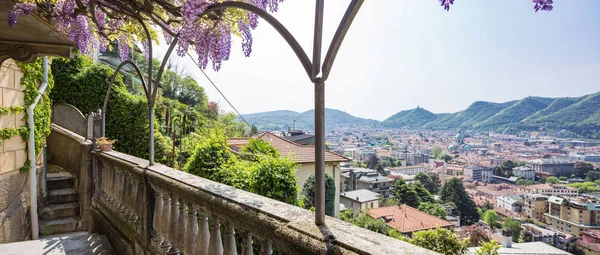 Fantastique Véranda Couverte Glycine Colorée Par Une Belle Journée Printemps — Photo