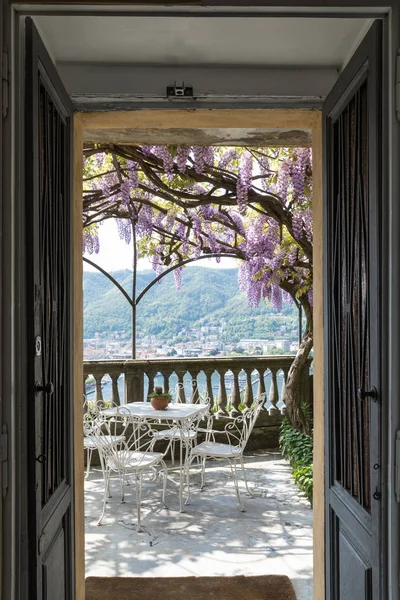 Varanda Fantástica Coberto Por Wisteria Colorido Belo Dia Primavera — Fotografia de Stock