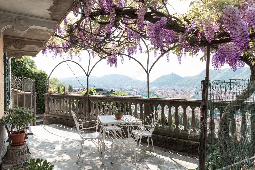 Fantastic veranda covered by colorful wisteria on a beautiful spring day