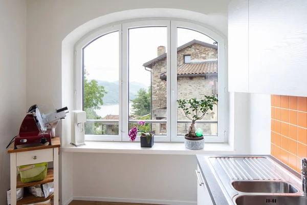 Details of a window in the kitchen with a view. Sink and slicer. Nobody inside