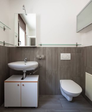 Önden görünüm banyo lavabo ve tuvalet. İçeride kimse yok