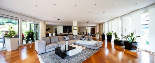 Moderne Woonkamer Met Grote Lederen Sofa Niemand Binnen — Stockfoto