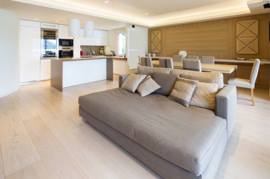 Modern daire parke ve zarif kanepe ile geniş oturma odası. İçeride kimse yok