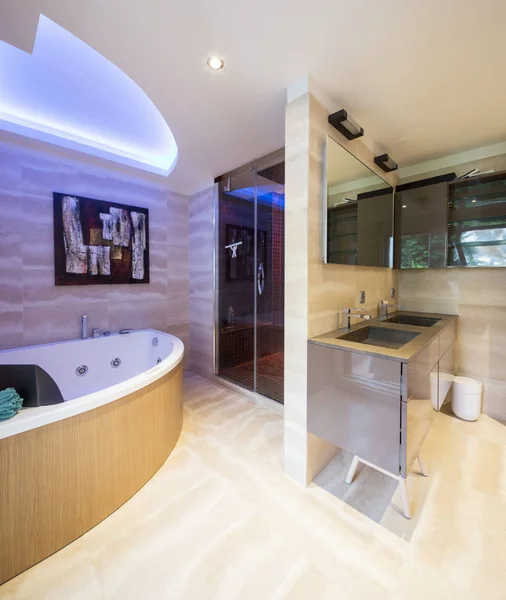 Modern apartment bathroom with fine finishes. Nobody inside.