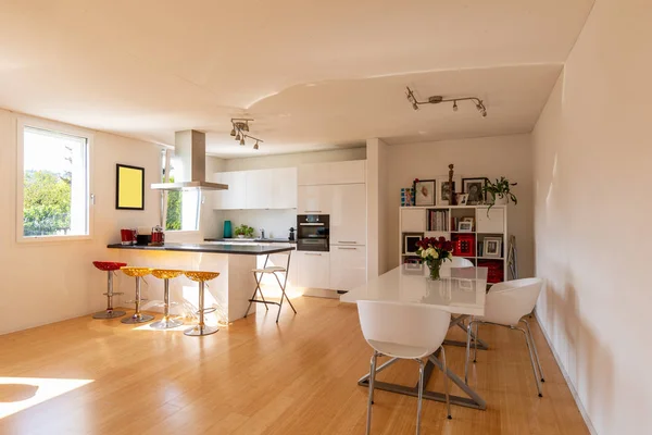 Cuisine Dans Appartement Moderne Avec Salle Manger Design Personne Intérieur — Photo