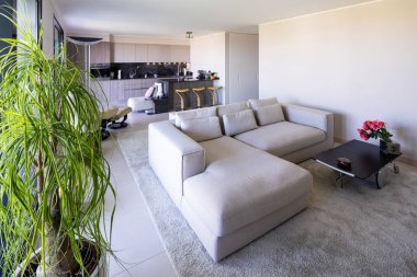 Oturma odası ve mutfak açık alan, modern daire içinde. İçeride kimse yok