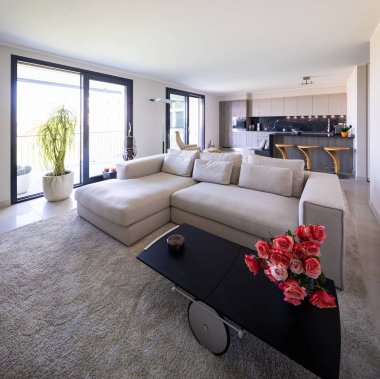 Oturma odası ve mutfak açık alan, modern daire içinde. İçeride kimse yok