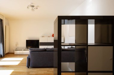 Parke ve karanlık kanepe modern oturma odası. İçeride kimse yok