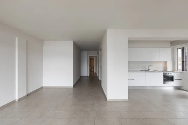 Moderne Keuken Lege Appartement Niemand Binnen — Stockfoto