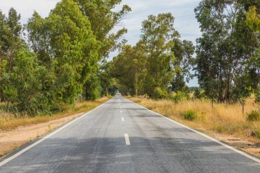 Portekiz'e giden düz yol, yaz saati. Araba yok.