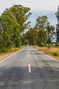 Portekiz'e giden düz yol, yaz saati. Araba yok.