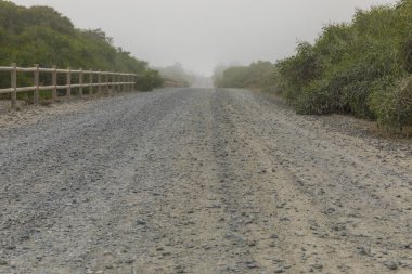 Kir düz yol, sonunda sis.