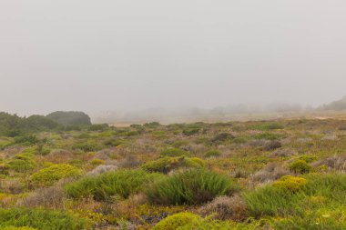 Malho plajı okyanusta çok fazla sis var.