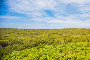 Alan mavi gökyüzü ile bir yaz gününde. Portekizce manzara