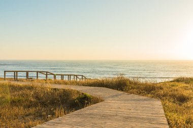Okyanus manzaralı bir doğal park-Portekiz sahilde ahşap yolu