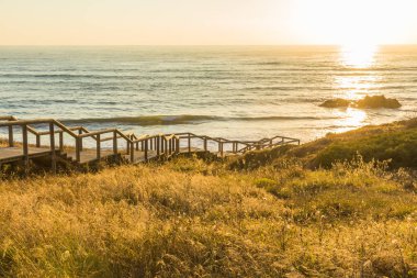 Okyanus manzaralı bir doğal park-Portekiz sahilde ahşap yolu