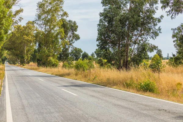 Portekiz Giden Düz Yol Yaz Saati Araba Yok — Stok fotoğraf