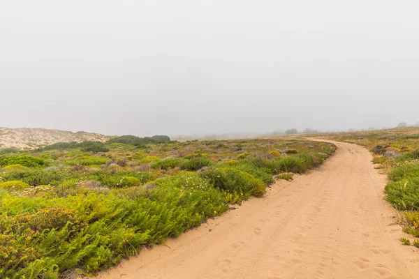 Malho Strand Met Veel Mist Oceaan Niemand Binnen — Stockfoto