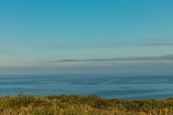 Természet Park Atlanti Óceán Partján Portugália — Stock Fotó