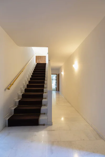 Escalier Avec Tapis Main Courante Couloir Marbre Personne Intérieur — Photo