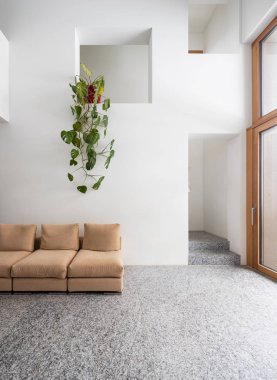 Granit kanepe, bitki ve merdiven manzaralı.