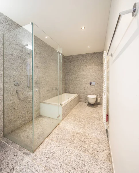 Modernes Granitbad mit Dusche und Badewanne — Stockfoto