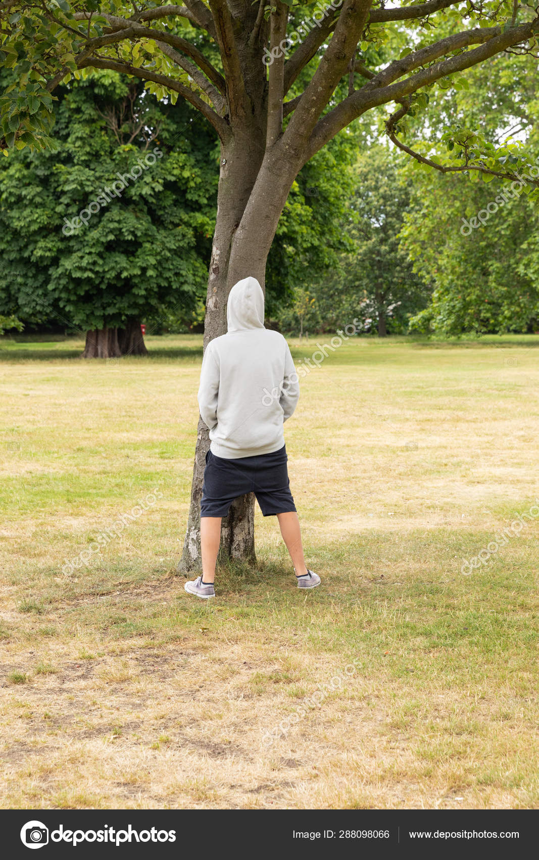 парни писают Мальчик писает на дерево в парке . — Стоковое фото © Zveiger #288098066