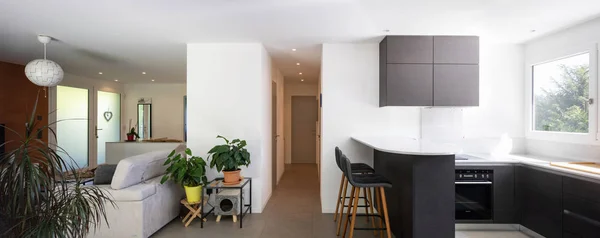 Kamer keuken Livin en corridor allemaal samen — Stockfoto
