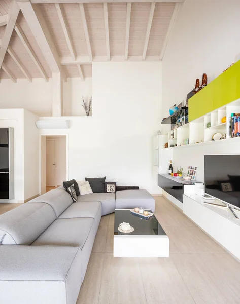 Front view of modern living room with sofa and TV cabinet