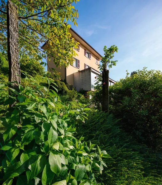 Vackert Hus Mitt Grönskan Med Modern Armerad Betonganslutning Och Stort — Stockfoto